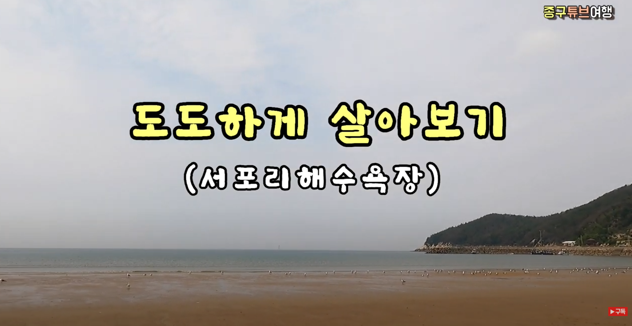 도도하게 살아보기(서포리 해수욕장)