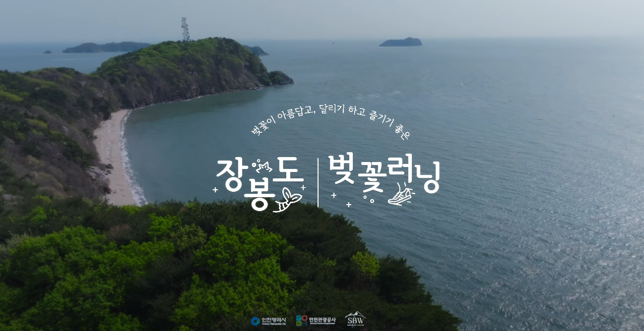 장봉도 벚꽃러닝