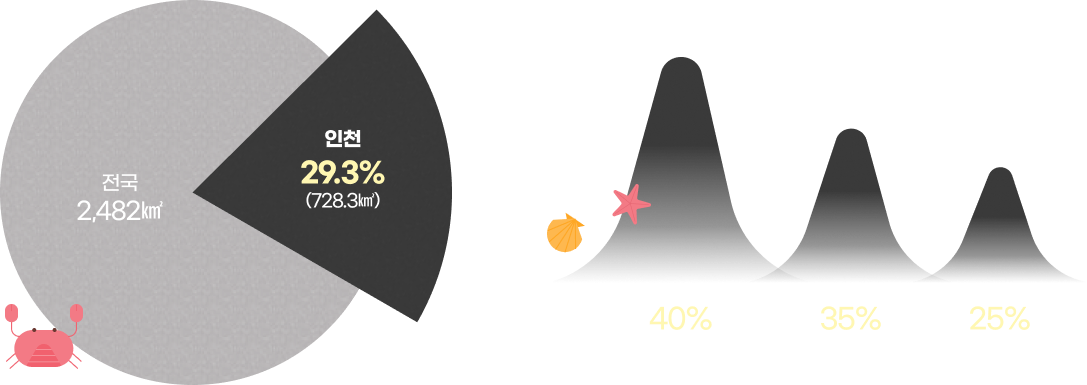 인천 갯벌 현황 그래프 - 전국 2,482㎢, 인천 29.3% (728.3㎢), 옹진 40% (298.2㎢), 강화 35% (256.1㎢), 중구 등 25% (174㎢)