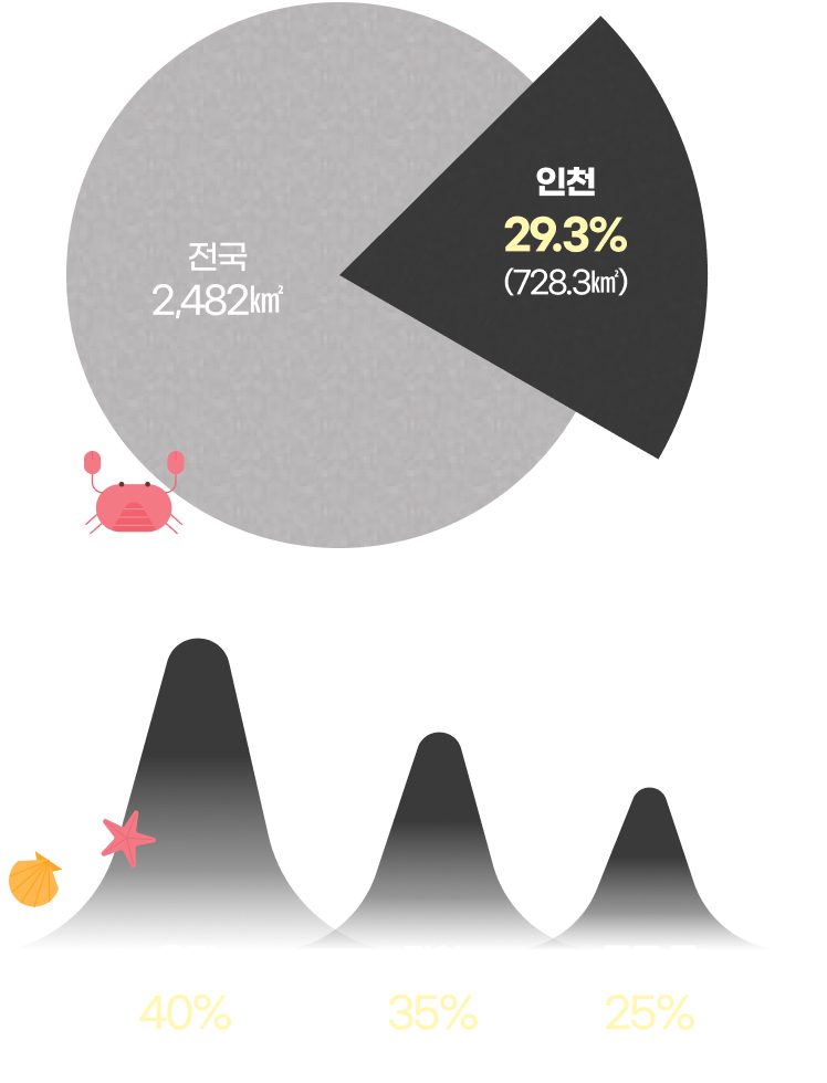 인천 갯벌 현황 그래프 - 전국 2,482㎢, 인천 29.3% (728.3㎢), 옹진 40% (298.2㎢), 강화 35% (256.1㎢), 중구 등 25% (174㎢)